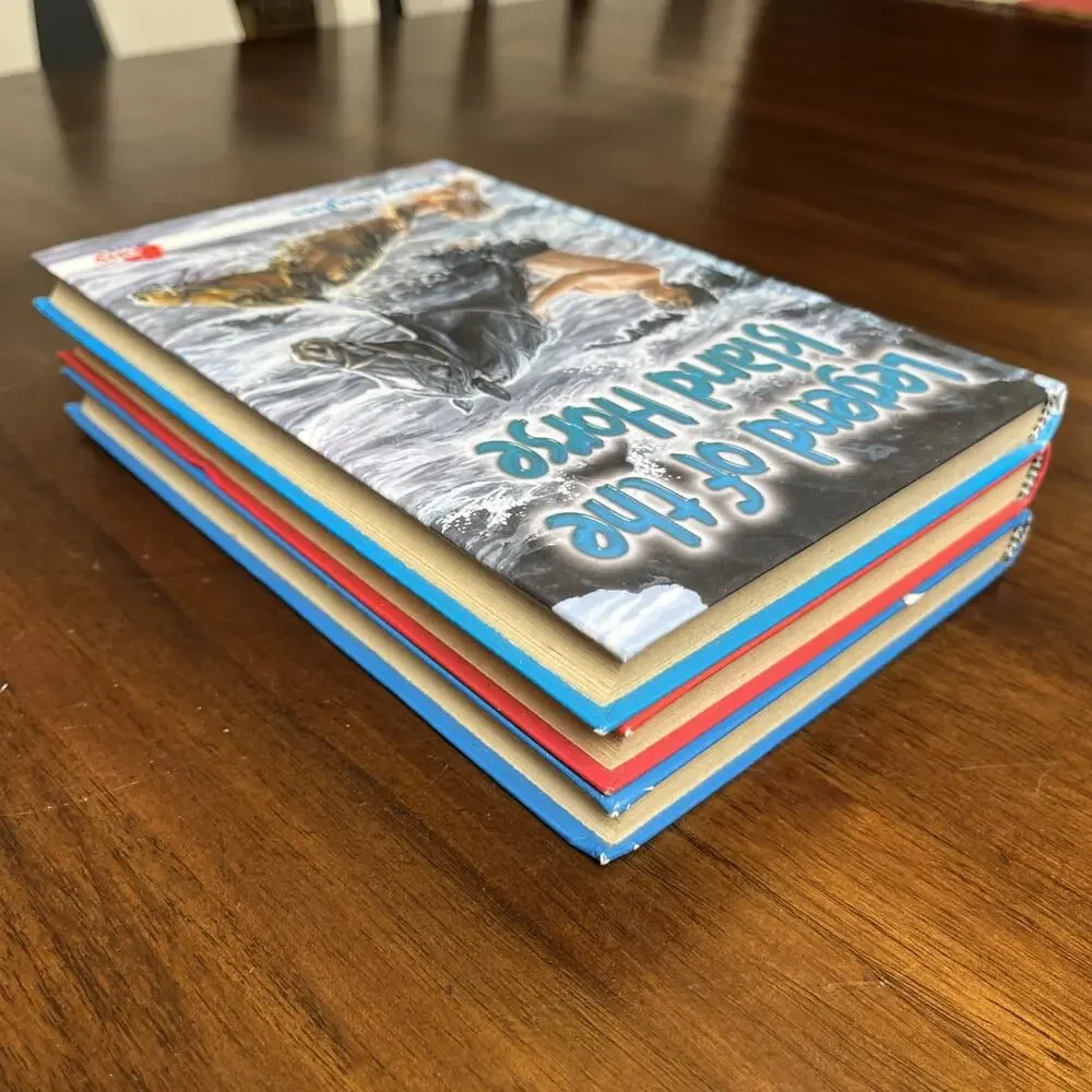 Pony Hardcover Chapter Books For Middle Grade Readers, Lot of 3, Horse Riding